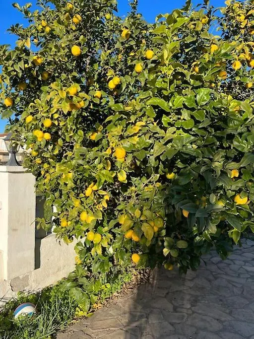 Σπίτι διακοπών Casa Felic 12 Personen, Familiehuis Met Hottub Λορέτ Ντε Μαρ